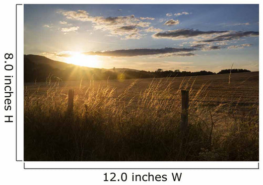 Beautiful Summer Landscape Sun Wall Decal