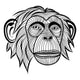 Monkey Chimpanzee Head Wall Decal