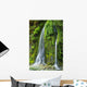 Salmon Creek Falls Oregon Wall Decal