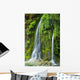 Salmon Creek Falls Oregon Wall Decal
