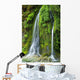 Salmon Creek Falls Oregon Wall Decal