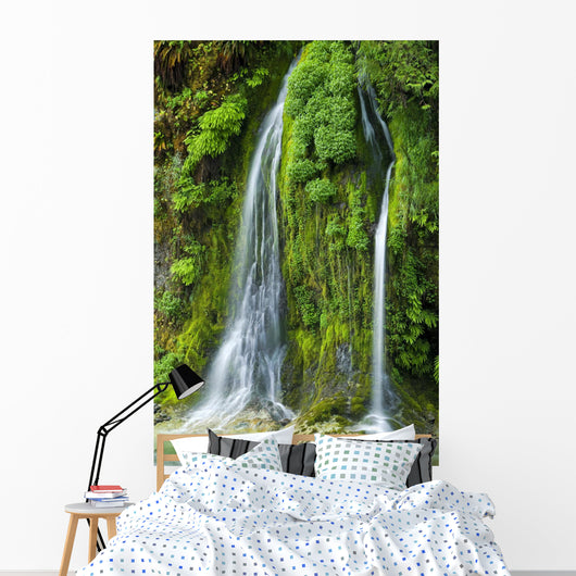 Salmon Creek Falls Oregon Wall Decal
