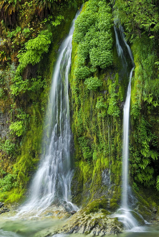 Salmon Creek Falls Oregon Wall Decal