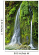 Salmon Creek Falls Oregon Wall Decal
