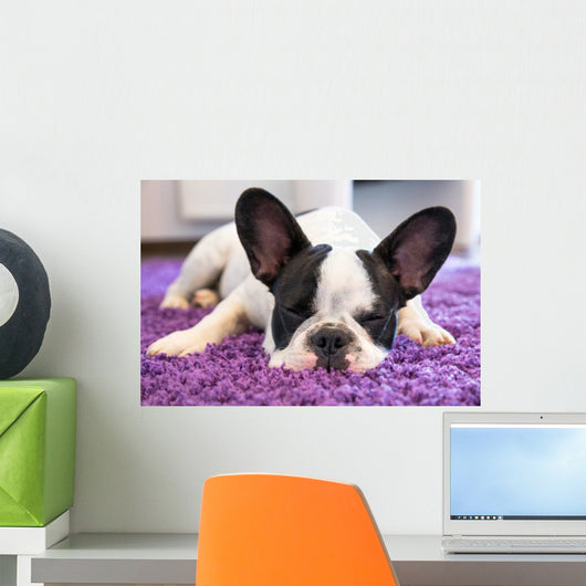 French Bulldog Sleeping Carpet Wall Decal