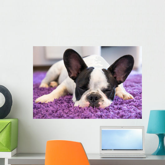 French Bulldog Sleeping Carpet Wall Decal