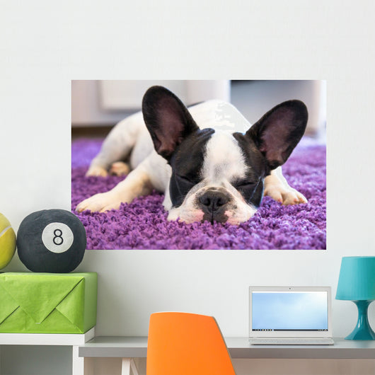 French Bulldog Sleeping Carpet Wall Decal