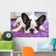 French Bulldog Sleeping Carpet Wall Decal