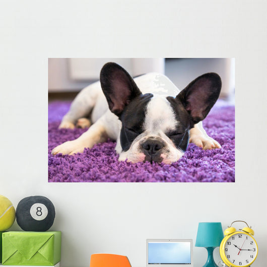 French Bulldog Sleeping Carpet Wall Decal