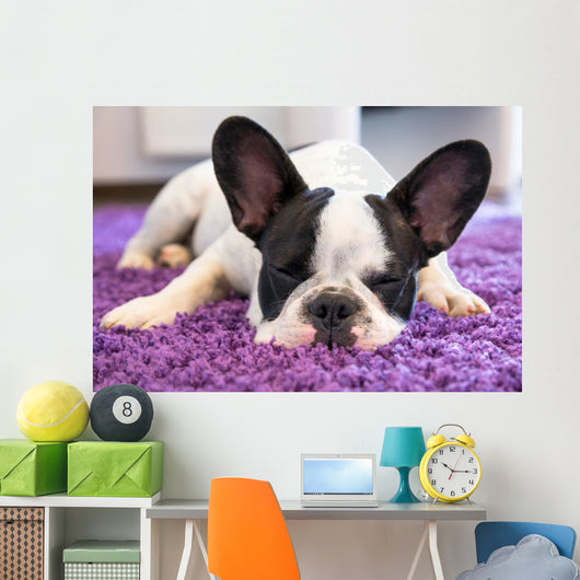 French Bulldog Sleeping Carpet Wall Decal