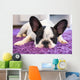 French Bulldog Sleeping Carpet Wall Decal