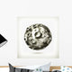 Moon Wall Decal