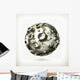 Moon Wall Decal