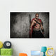 Wounded Gladiator Red Coat Wall Decal
