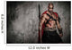 Wounded Gladiator Red Coat Wall Decal