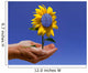 Solar Flower Hand Wall Decal