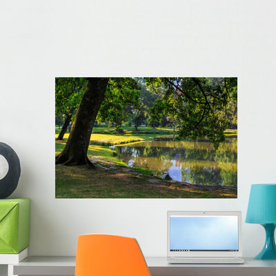 Trees near Pond City Wall Decal shown on a wall