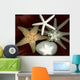 Star Fish Shells Wall Decal