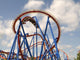 Roller Coaster Wall Decal