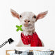 Funny Goat Wall Decal