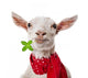 Funny Goat Wall Decal
