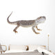 Bearded Dragon Wall Decal