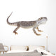 Bearded Dragon Wall Decal