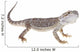 Bearded Dragon Wall Decal