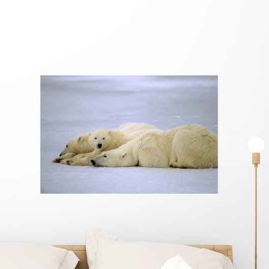 Polar Bear with Her Wall Decal