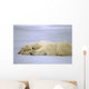 Polar Bear with Her Wall Decal