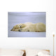 Polar Bear with Her Wall Decal