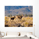 Deer and Her Fawn Wall Decal