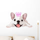 Pink Royal French Bulldog Wall Decal