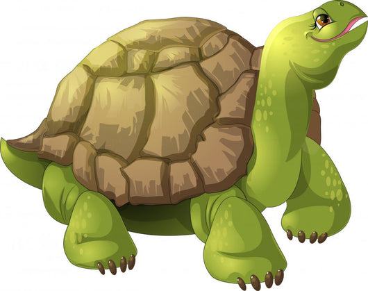 Turtle Wall Decal