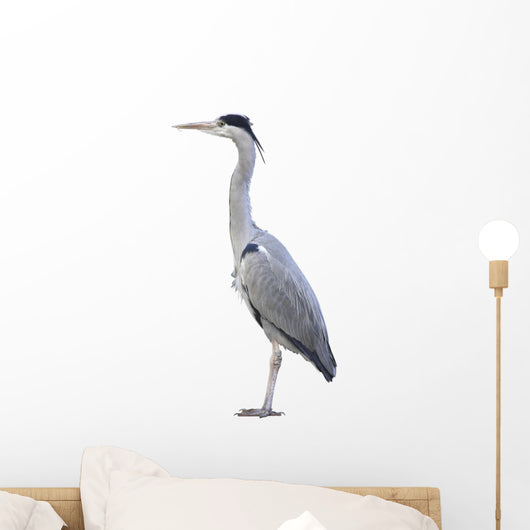 Heron over White Wall Decal