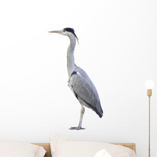 Heron over White Wall Decal