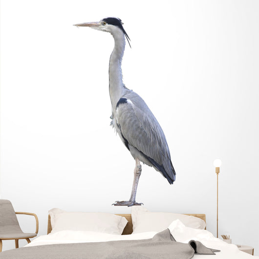 Heron over White Wall Decal