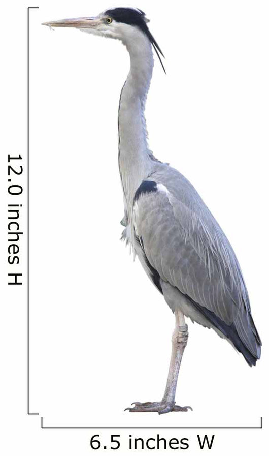 Heron over White Wall Decal