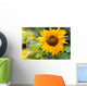 Sunflower in a Field Wall Decal
