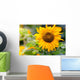 Sunflower in a Field Wall Decal