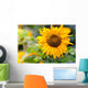 Sunflower in a Field Wall Decal