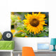 Sunflower in a Field Wall Decal