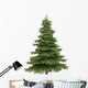 Spruce Tree Wall Decal
