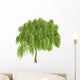 Weeping Willow Tree Wall Decal