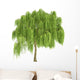 Weeping Willow Tree Wall Decal