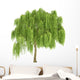 Weeping Willow Tree Wall Decal