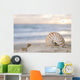 Shell Beach Wall Decal
