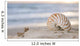 Shell Beach Wall Decal