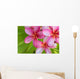 Pink Plumeria Bunch Wall Decal