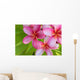 Pink Plumeria Bunch Wall Decal